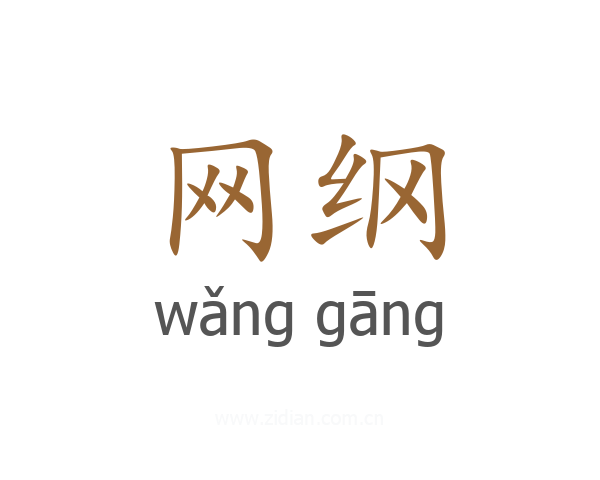 网纲