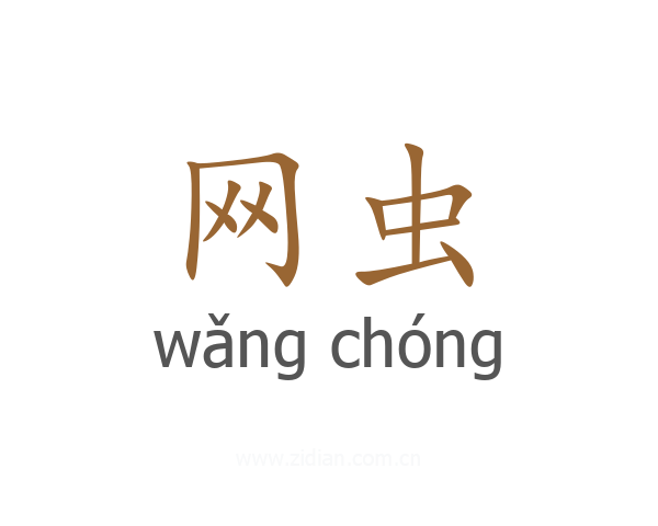 网虫