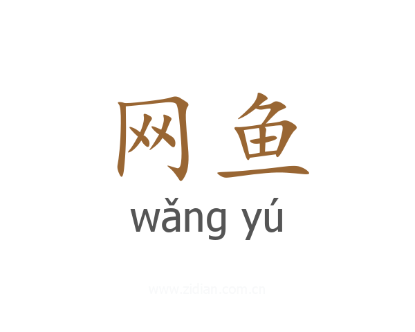 网鱼