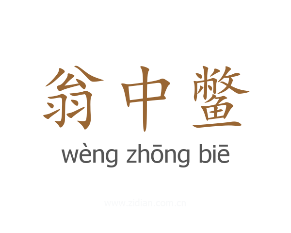 翁中鳖