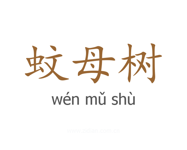 蚊母树