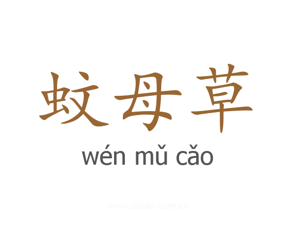 蚊母草