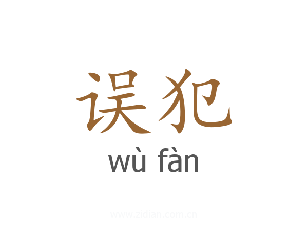 误犯
