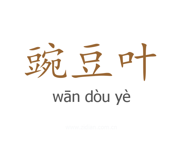 豌豆叶