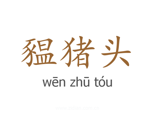 豱猪头