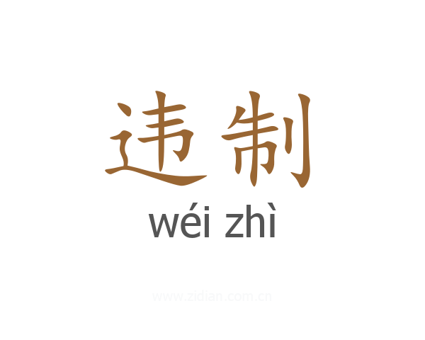 违制