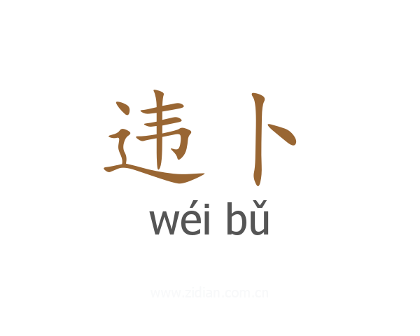 违卜