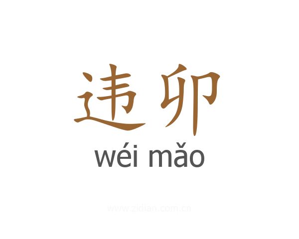 违卯
