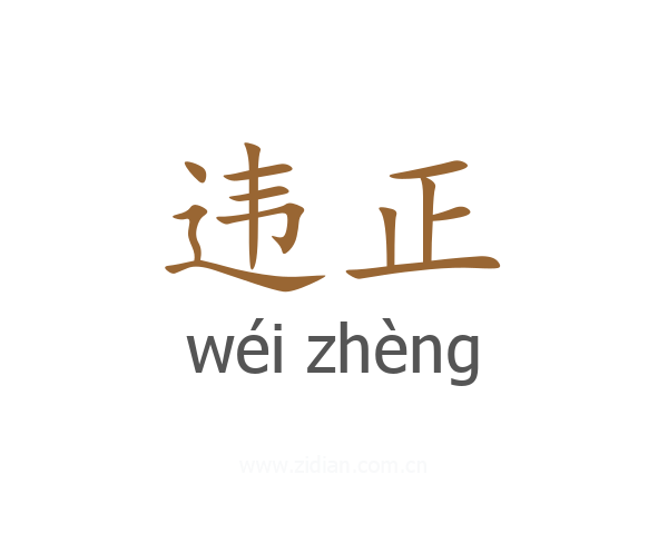 违正