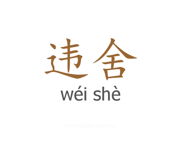 违舍