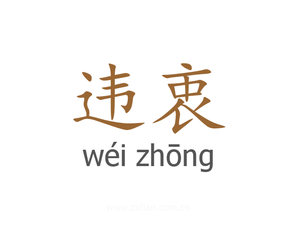 违衷