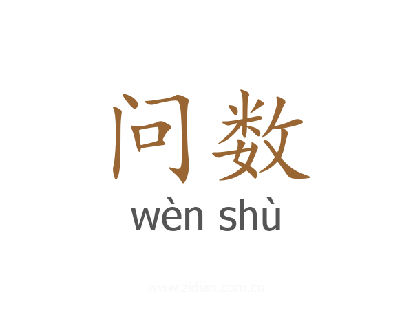 问数