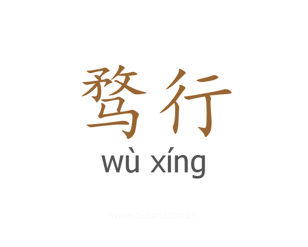骛行