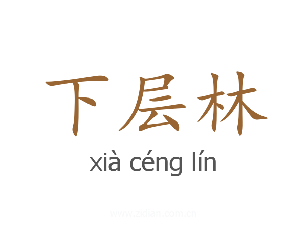下层林