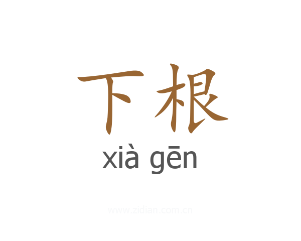 下根