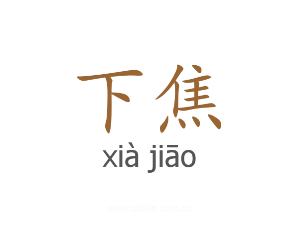 下焦