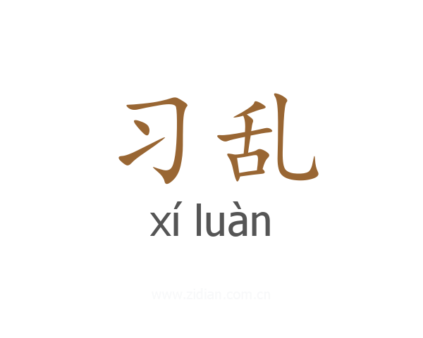 习乱