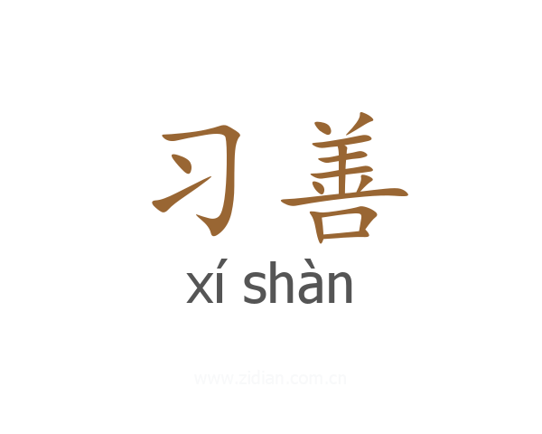 习善