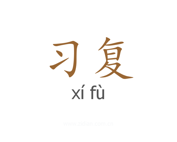 习复