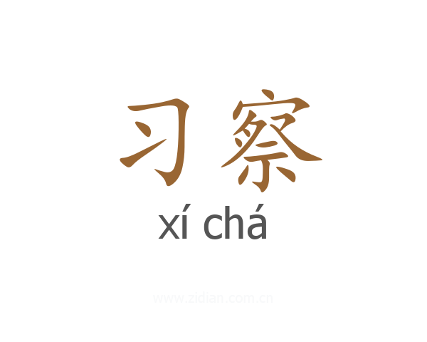 习察