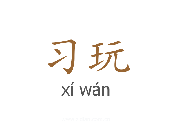习玩