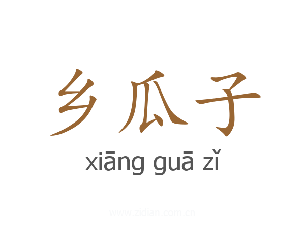 乡瓜子
