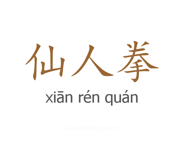 仙人拳