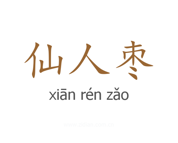 仙人枣