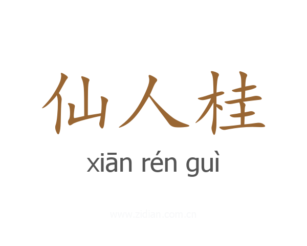 仙人桂