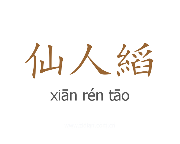 仙人縚