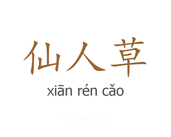 仙人草