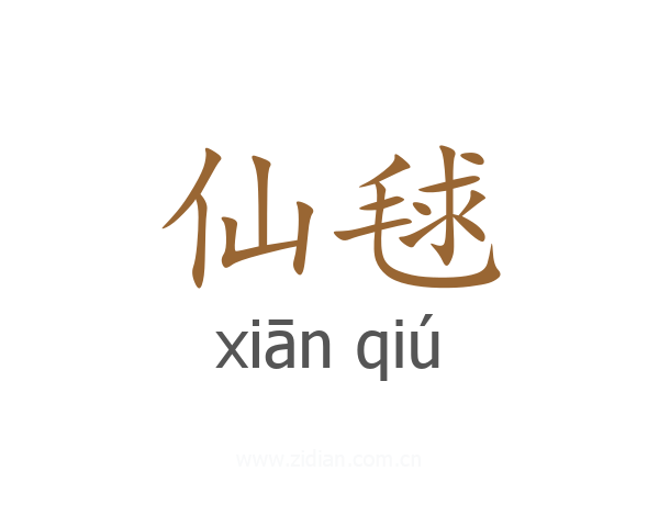 仙毬