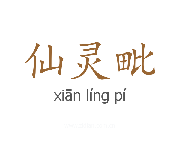 仙灵毗