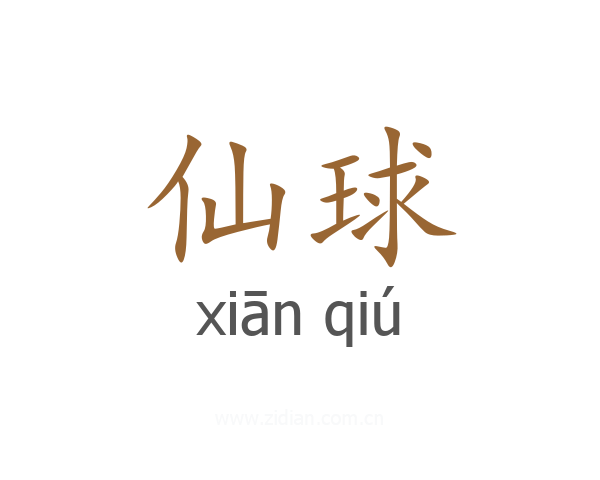 仙球