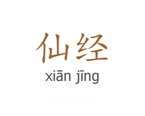 仙经