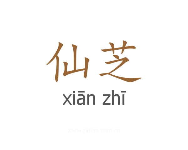 仙芝