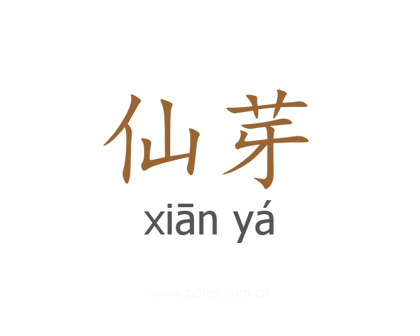 仙芽