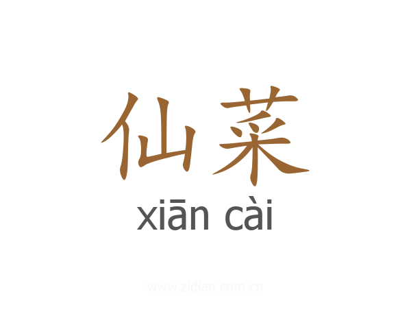 仙菜