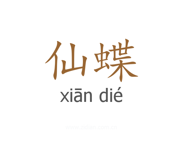 仙蝶