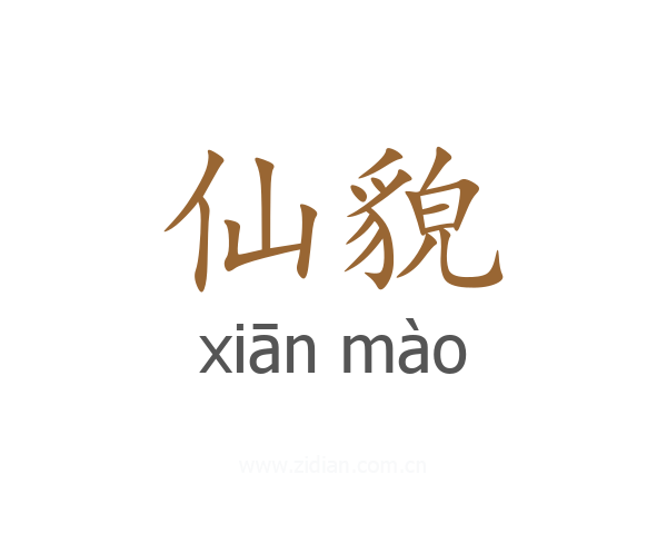 仙貌