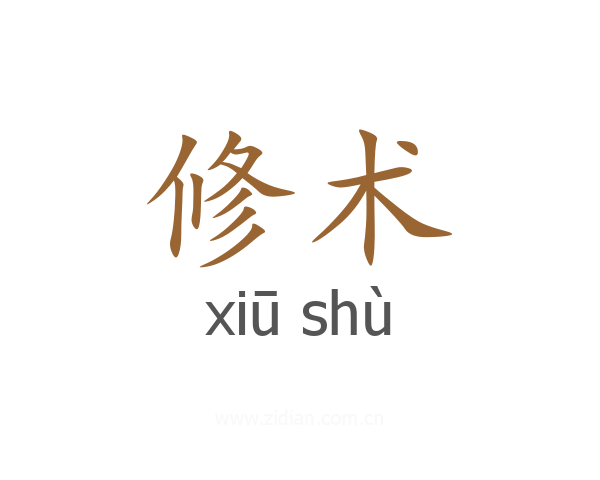 修术