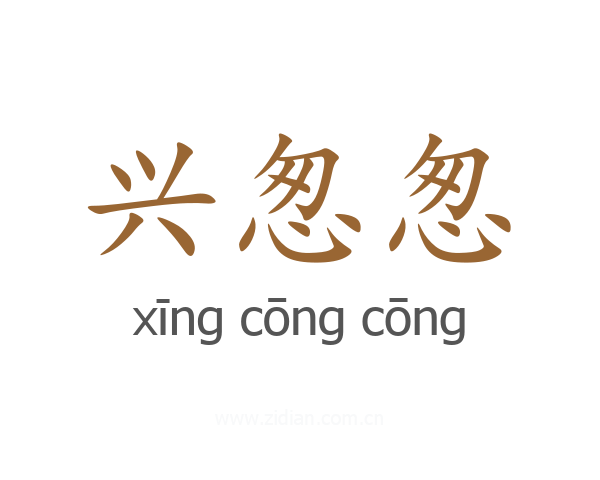 兴怱怱