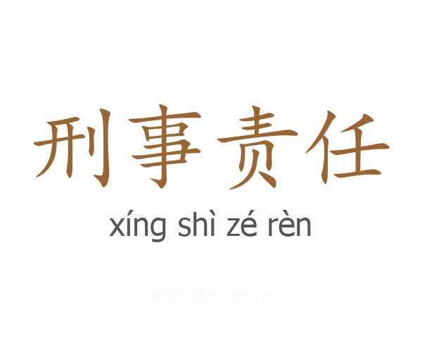 刑事责任