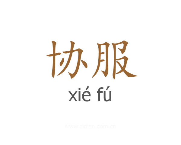 协服