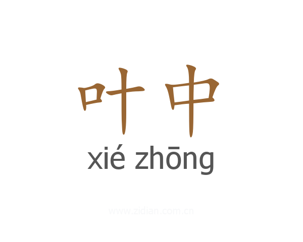 叶中