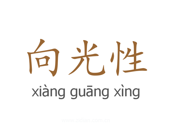 向光性