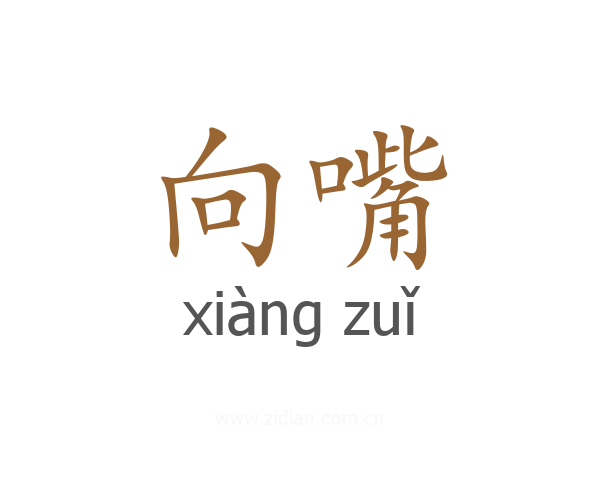 向嘴