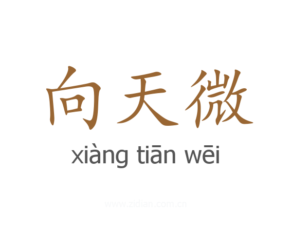 向天微