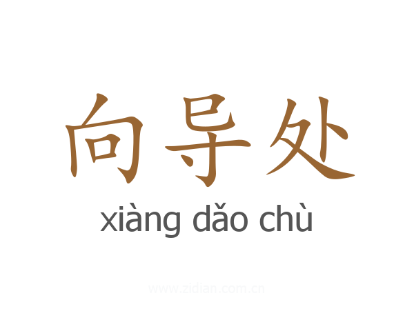 向导处