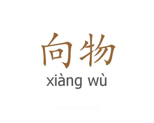 向物